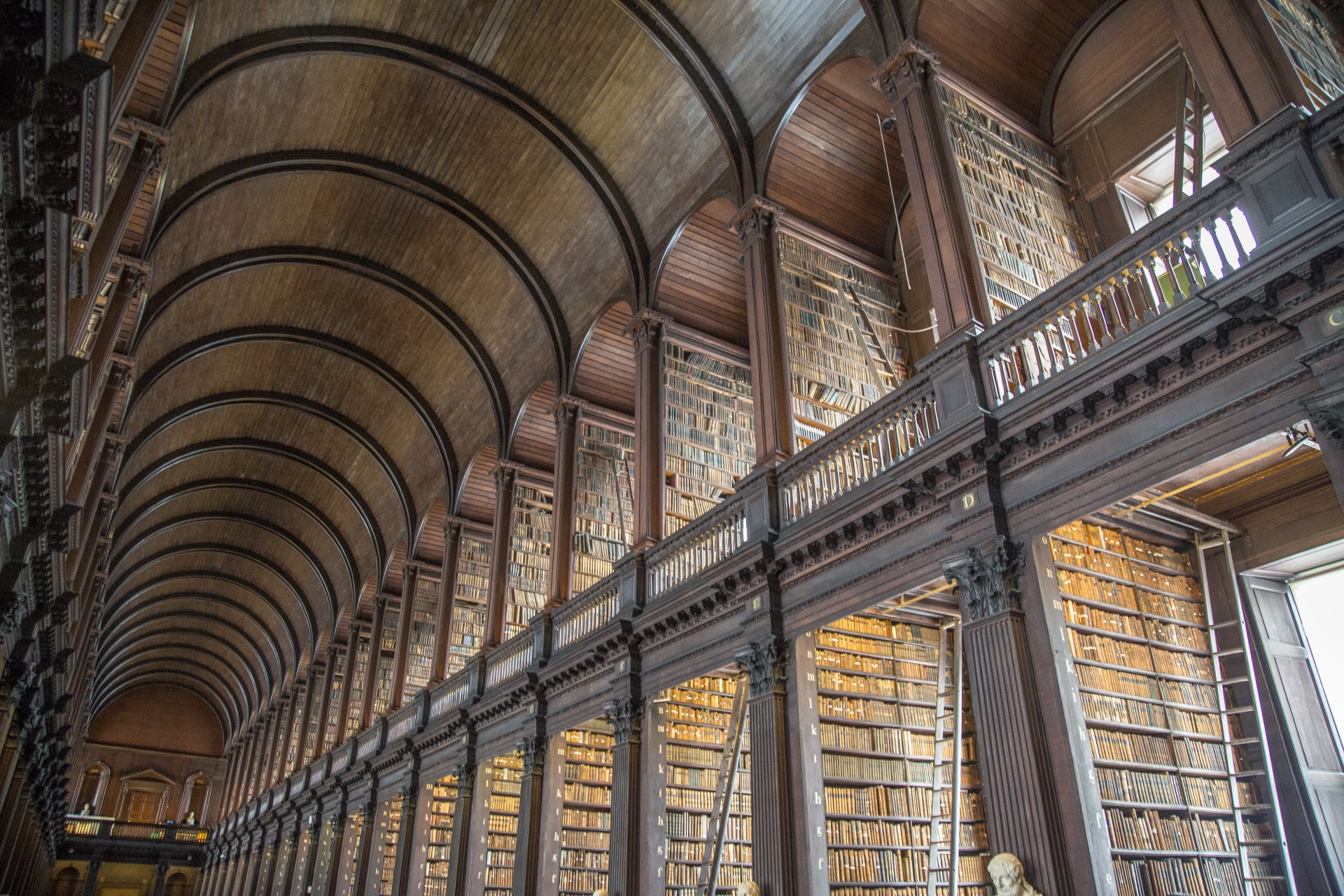 The library interior featured on Bioloom Wikis